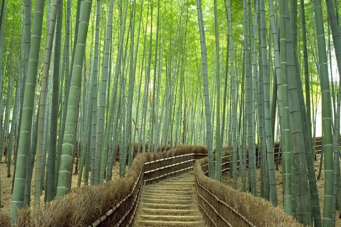 Kyoto Day Trip using Private Car with English Driver (up to 5) - Why a Private English Driver Changes Kyoto