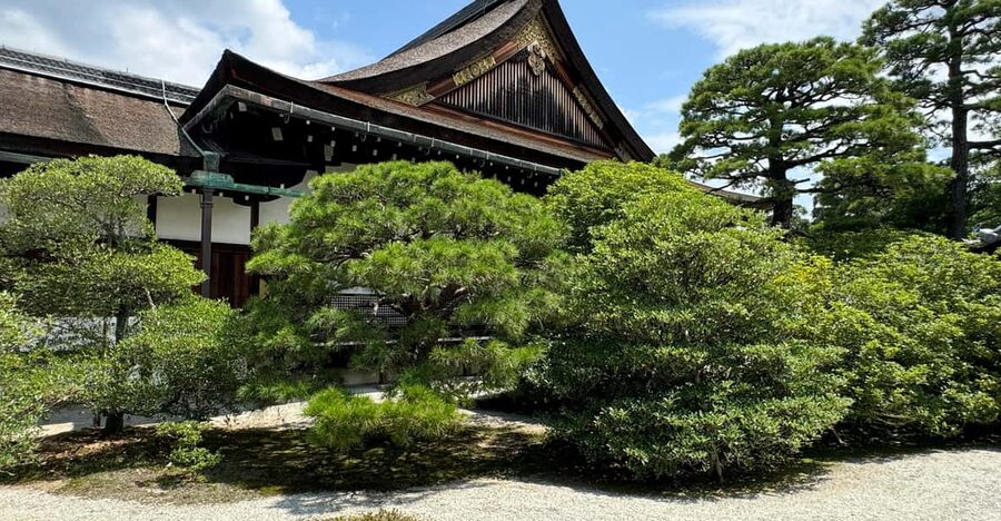 Kyoto: Discover Every Bit of Kyoto Imperial Palace - How the guided format affects your experience, for better or worse