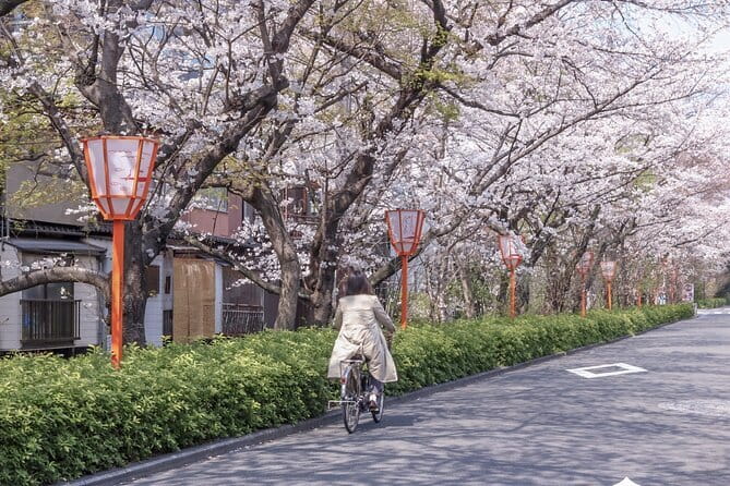 Kyoto E-Bike Tour of Hidden Gems, Backstreets and Temples - E-bike Riding, So You Can Enjoy Kyoto, Not Wrestle With It