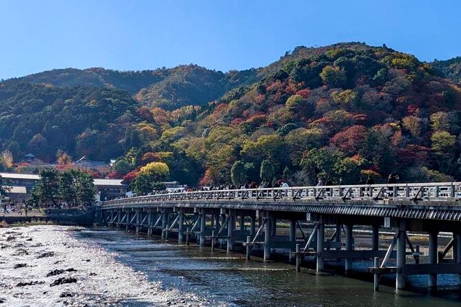 Kyoto Early Bird English Tour: Fushimi-Inari and Arashiyama - Stop 2: Arashiyama bamboo forest street, calm time for quiet photos