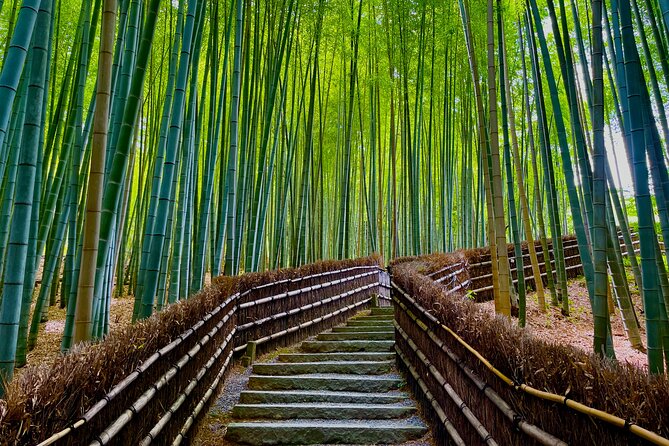 Kyoto Early Bird English Tour: Fushimi-Inari and Arashiyama - What the guide adds (and why reviews mention it a lot)
