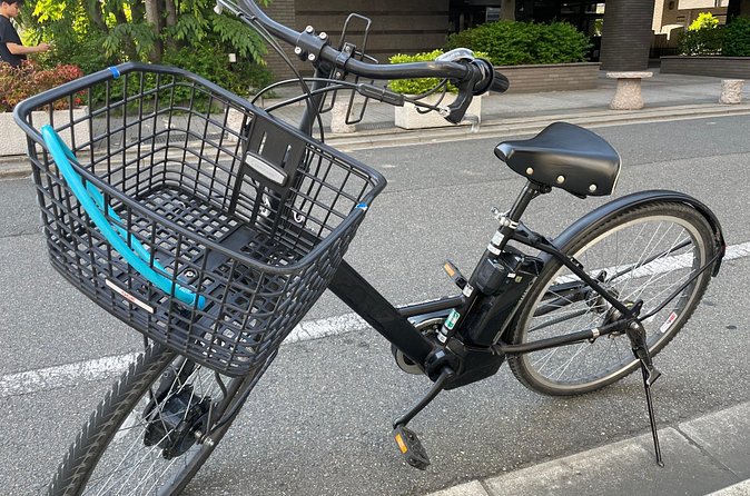 Kyoto Early Morning E Biking Tour Fushimi Inari Kiyomizu Temple - Guide storytelling and photos, from Rin to Hiro