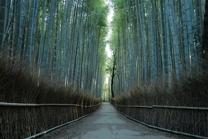 Kyoto Early Morning Tour with English-Speaking Guide - Why this early Kyoto morning route makes sense