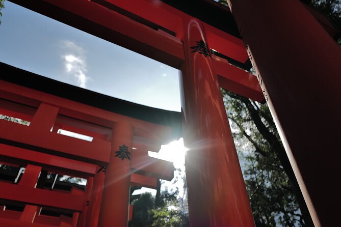 Kyoto Early Morning Tour with English-Speaking Guide - Price and value: what you get for $68.98