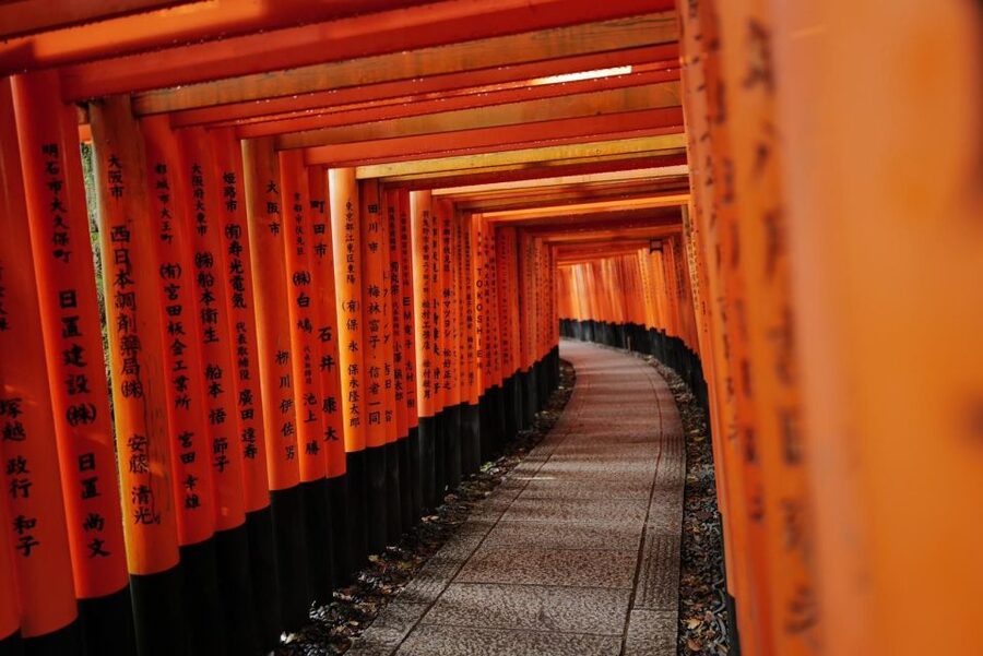 Kyoto: Early Morning Tour with English-Speaking Guide - Stop Three, Kinkaku-ji: Golden Pavilion at the Right Hour