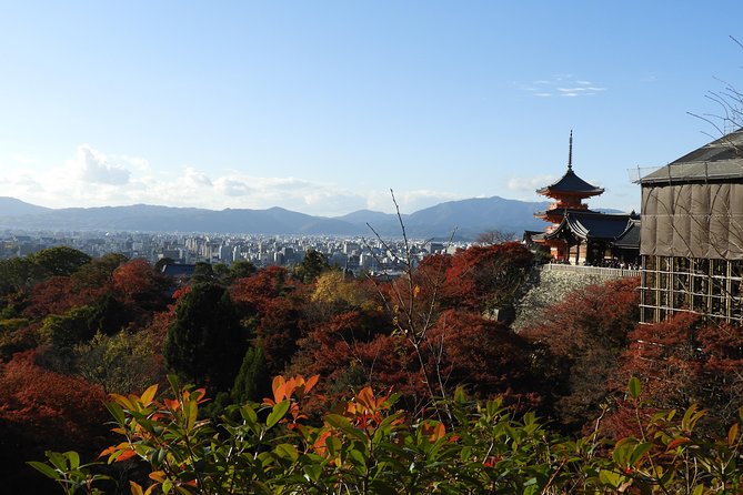 Kyoto Full Day (8 hours) Ultimate Sightseeing Private Tour - Stop 1: Kinkaku-ji Golden Pavilion in a calm, scenic hour