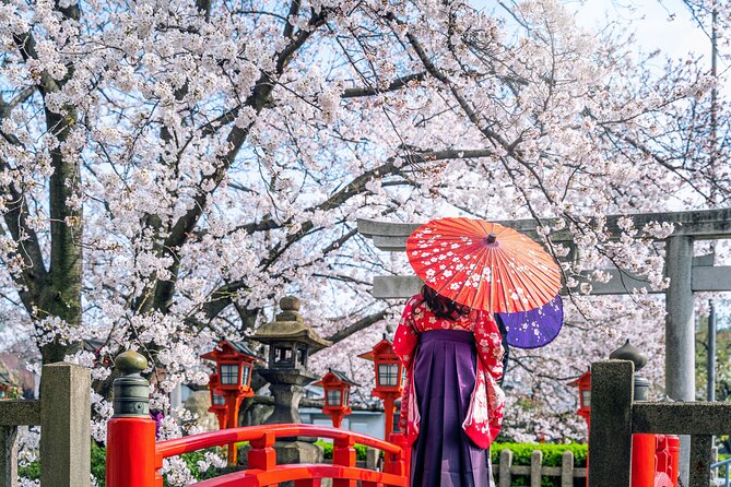 Kyoto Full Day (8 hours) Ultimate Sightseeing Private Tour - Stop 2: Nijo Castle and the Ninomaru Palace, with Edo-era architecture in focus