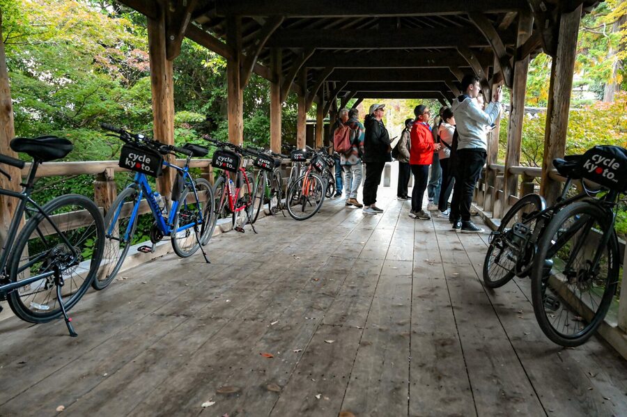 Kyoto: Full Day Bike Tour - Golden Pavilion at Kinkaku-ji, with entry included