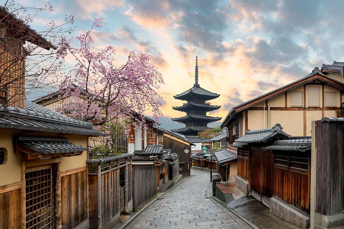 Kyoto Full-Day Private Tour (Osaka departure) with Government-Licensed Guide - Price and Logistics: what you are really paying for