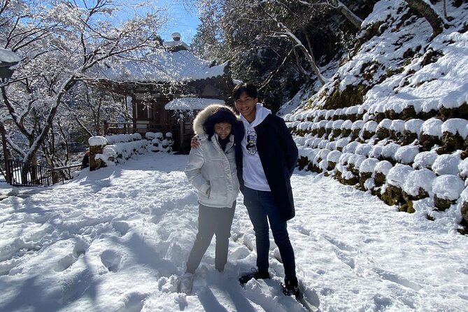 Kyoto Full Day Tour from Osaka with Licensed Guide and Vehicle - Arashiyama: bamboo, bridge views, and the “walk it” payoff