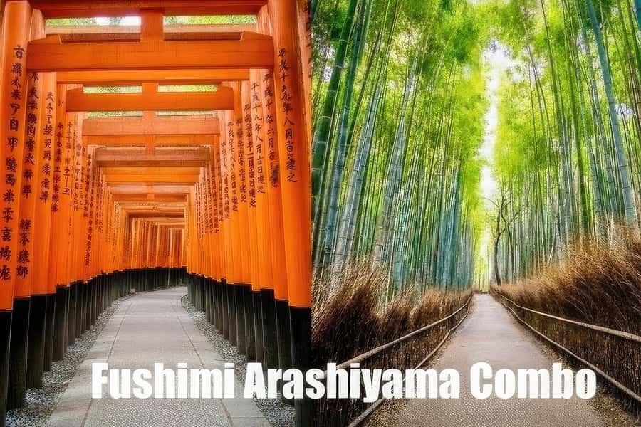 Kyoto: Fushimi, Arashiyama - Bamboo, Monkey, Torii & Secrets - Key highlights worth planning for