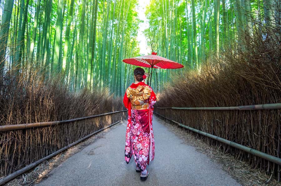 Kyoto: Fushimi, Arashiyama - Bamboo, Monkey, Torii & Secrets - Who this tour suits best (and who should pass)