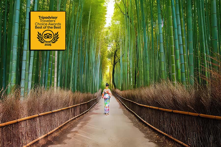 Kyoto: Fushimi, Arashiyama - Bamboo, Monkey, Torii & Secrets - Meeting at Inari Station and the Kyoto day gets moving