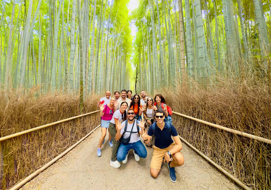 Kyoto: Fushimi, Arashiyama - Bamboo, Monkey, Torii & Secrets - What’s included, what’s not, and where your money actually goes