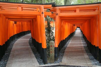 Fushimi Inari, Kinkakuji, Bamboo Grove 1 Day Bus Tour