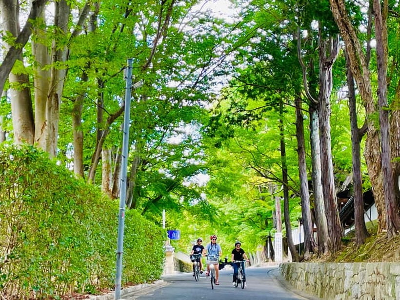 Kyoto: Fushimi Inari Shrine and Tofukuji Temple E-Bike Tour - Gion district cycling: geisha basics and Kyoto etiquette you can spot