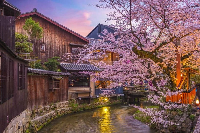 Kyoto Geisha Walking Tour: Gion District & Hidden Gems - Kennin ji Temple: calm time when the street noise fades
