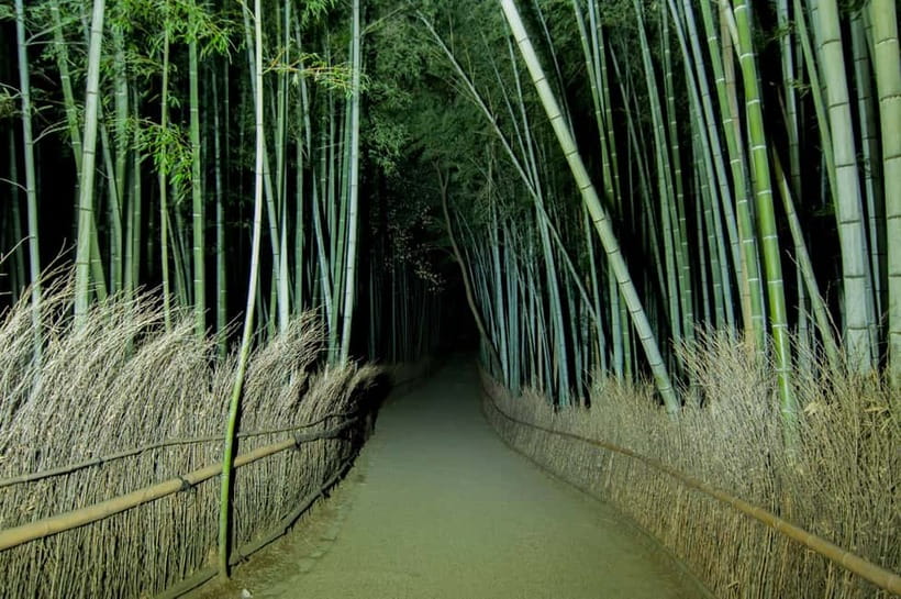 Kyoto: Ghost Tour - Legends, Dark Tales, Bamboo Forest Night - Price and value: is $50 fair for 150 minutes?