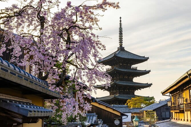 Kyoto Gion Early Morning Walking Tour - Price and what you actually get for $49.42