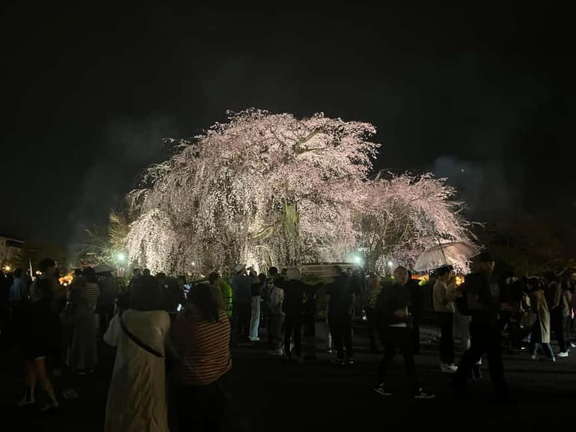Kyoto: Gion Walking Tour - Gion-Higashi: Another Hanamachi Side of the Same Story