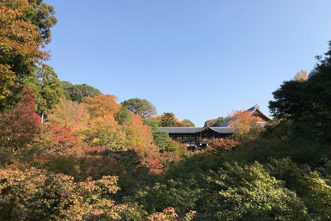 Kyoto Guided Walking Tour: Secret Zen Garden and Fushimi Inari - Why This Kyoto Walk Works: Fushimi Inari Meets Zen in One Half-Day