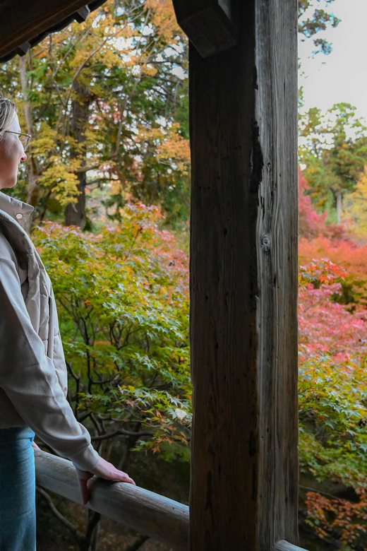 Kyoto: Half-day Guided Bike Tour with Fushimi Inari - Toji: the UNESCO stop that anchors South Kyoto