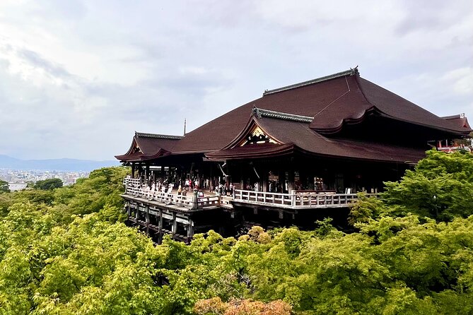 Kyoto Half Day Highlights Tour - Price and Value: Is $50 a Good Deal?