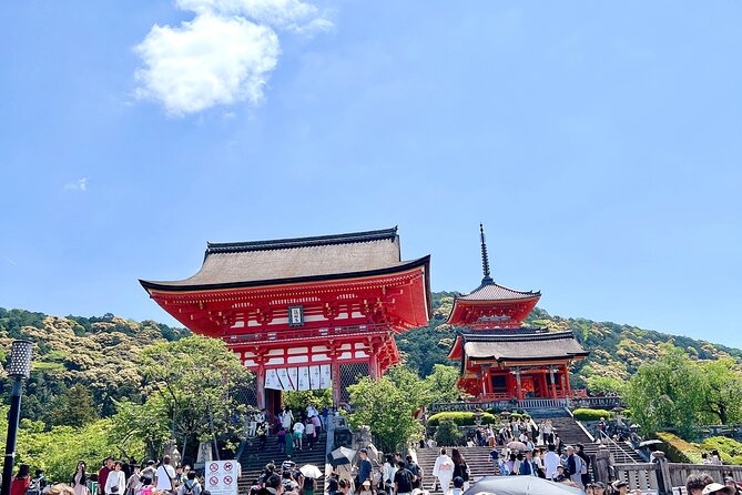 Kyoto Half Day Highlights Tour - What You’ll Like Most (From How This Tour Feels)