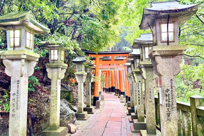 Kyoto Half Day Highlights Tour - Walking Comfort Tips for a Late-Afternoon Start