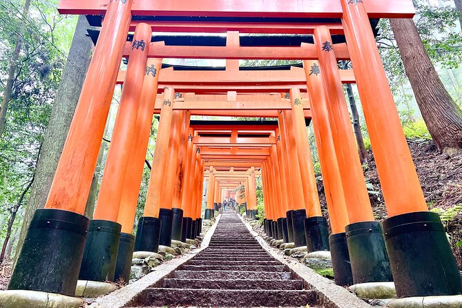 Kyoto Half Day Highlights Tour - Who Should Book This Tour