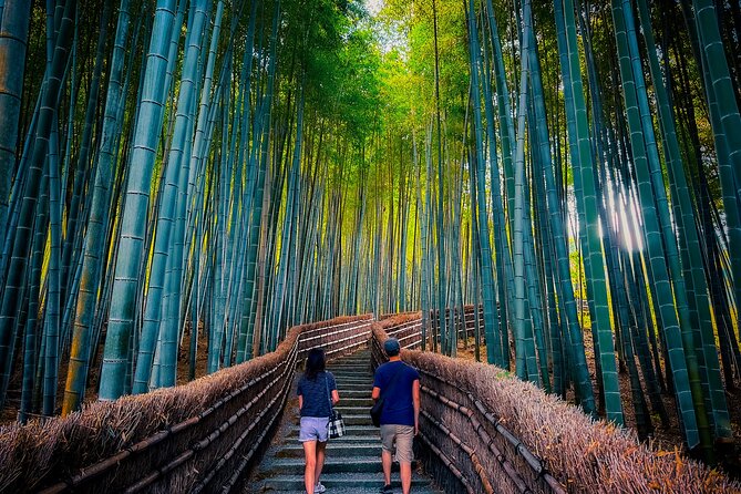 Kyoto Highlights & Hidden Gems in Nature (Private Van Eng-Guide) - Price and logistics: is $230.61 good value?