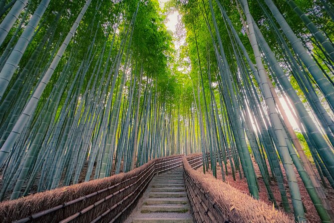 Kyoto Highlights & Hidden Gems in Nature (Private Van Eng-Guide) - Gio-ji and the mossy stillness of Arashiyama gardens