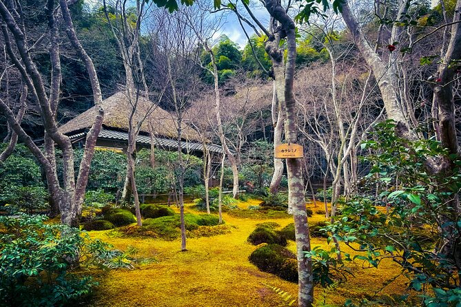 Kyoto Highlights & Hidden Gems in Nature (Private Van Eng-Guide) - Arashiyama-Takao Parkway: cherry and maple seasons, and a smooth drive