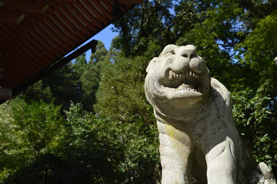 Kyoto: Hike and Hot Springs in Kurama - The climb to Kurama Temple: steps, timing, and rewards
