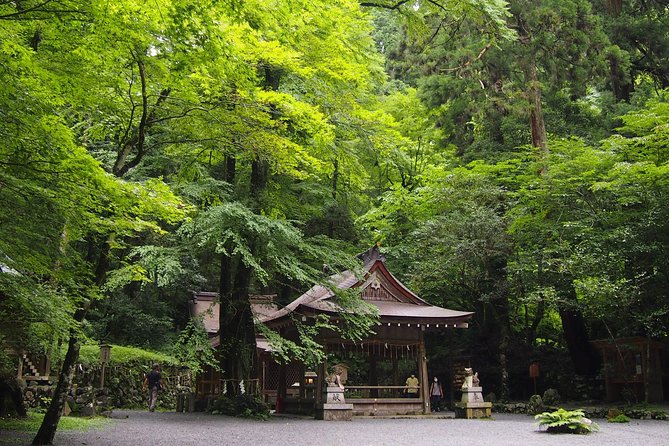 Kyoto Hiking Tour: The Nature and Legends of Kurama and Kibune - Price and logistics: what $191.60 covers (and how it adds up)