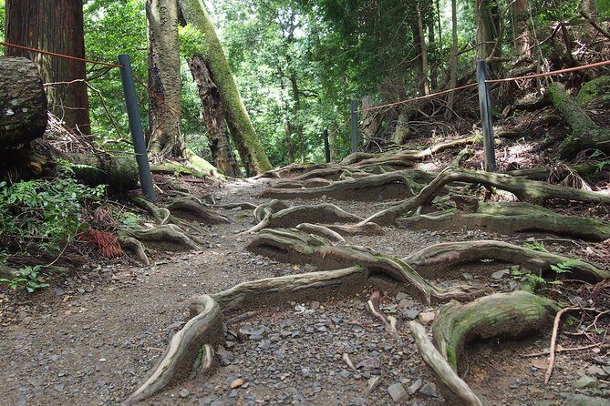 Kyoto Hiking Tour: The Nature and Legends of Kurama and Kibune - Kifune Shrine: water prayers, boat legends, and a calmer finish