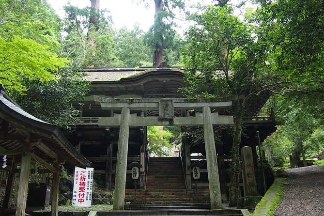Kyoto Hiking Tour: The Nature and Legends of Kurama and Kibune - Guides make it feel personal: English, history, and fast adjustments