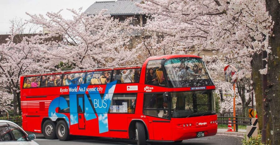 Kyoto: Hop-on Hop-off Sightseeing Bus Ticket - Key points before you ride