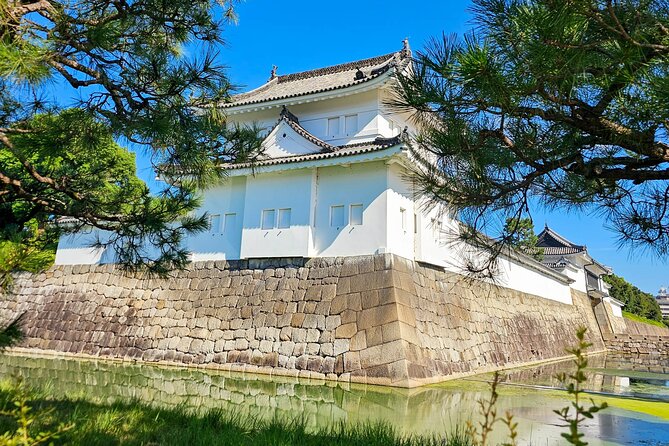 Kyoto Imperial Palace & Nijo Castle Guided Walking Tour - 3 Hours - Tickets and the Value Math (What You Pay For)