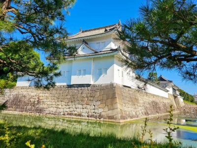 Imperial Palace & Nijo Castle Guided Walking Tour