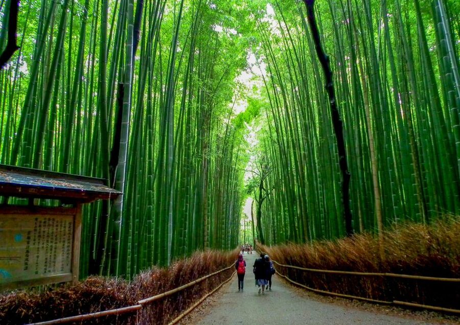 Kyoto: Japanese Gardens Private Customizable Tour - Your 6-hour format: meeting up, getting around, and weather reality
