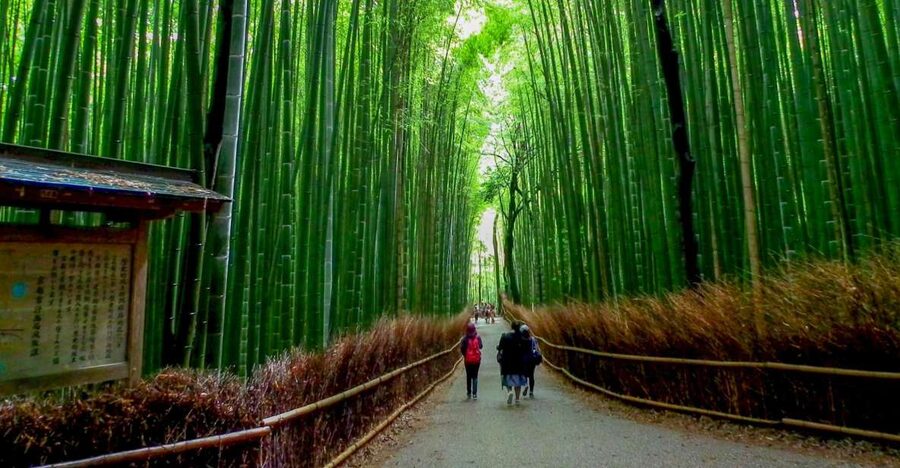Kyoto: Japanese Gardens Private Customizable Tour - Classic Zen highlights: Kinkakuji, Ginkakuji, Ryoanji, and Honen-in