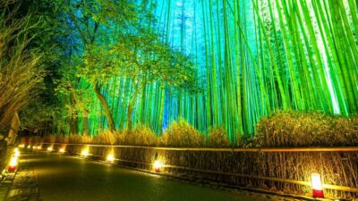 Japanese Gardens Private Customizable Tour