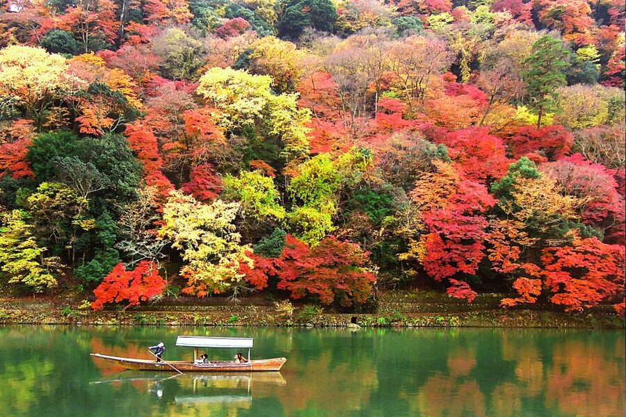 Kyoto: Japanese Gardens Private Customizable Tour - Nanzenji and Tofuku-ji: pairing major temples with breathing room