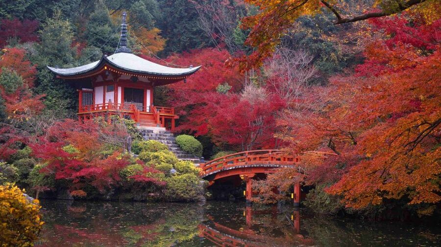 Kyoto: Japanese Gardens Private Customizable Tour - Arashiyama Bamboo Forest: the iconic contrast to temple stillness