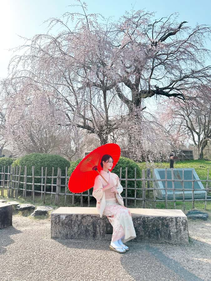 Kyoto: Kimono Rental Traditional Experience at Wargo in Gion - Price and Value: Why $33 Can Feel Like a Deal