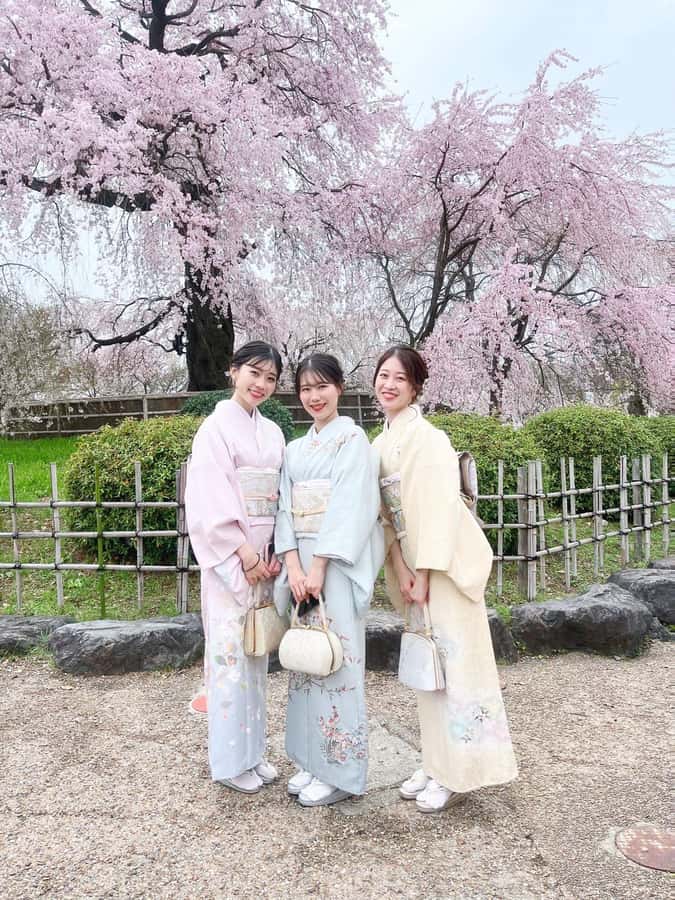 Kyoto: Kimono Rental Traditional Experience at Wargo in Gion - What You Get When You Leave the Store