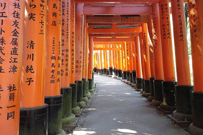 Kyoto Lazy Bird Walking Tour - Key reasons this Kyoto tour is worth a look