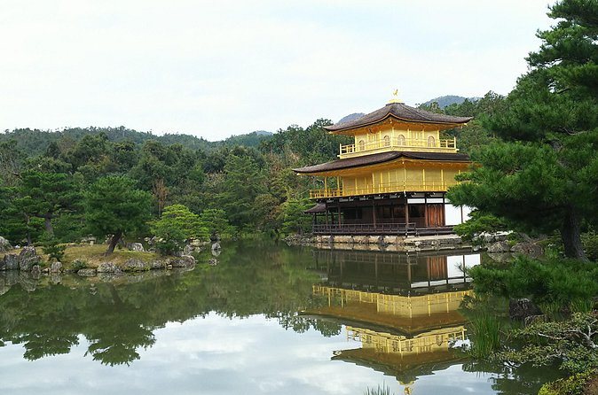 Kyoto Lazy Bird Walking Tour - Fushimi Inari-taisha: the torii tunnel that slows you down