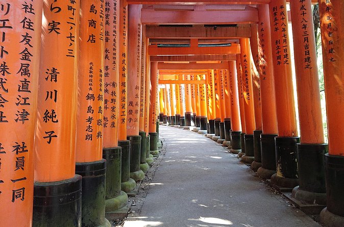 Kyoto Lazy Bird Walking Tour - Walking comfort, accessibility, and small logistics that matter